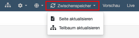 Die Funktion zum Löschen des System-Caches finden Sie oben neben dem Vorschau-Button