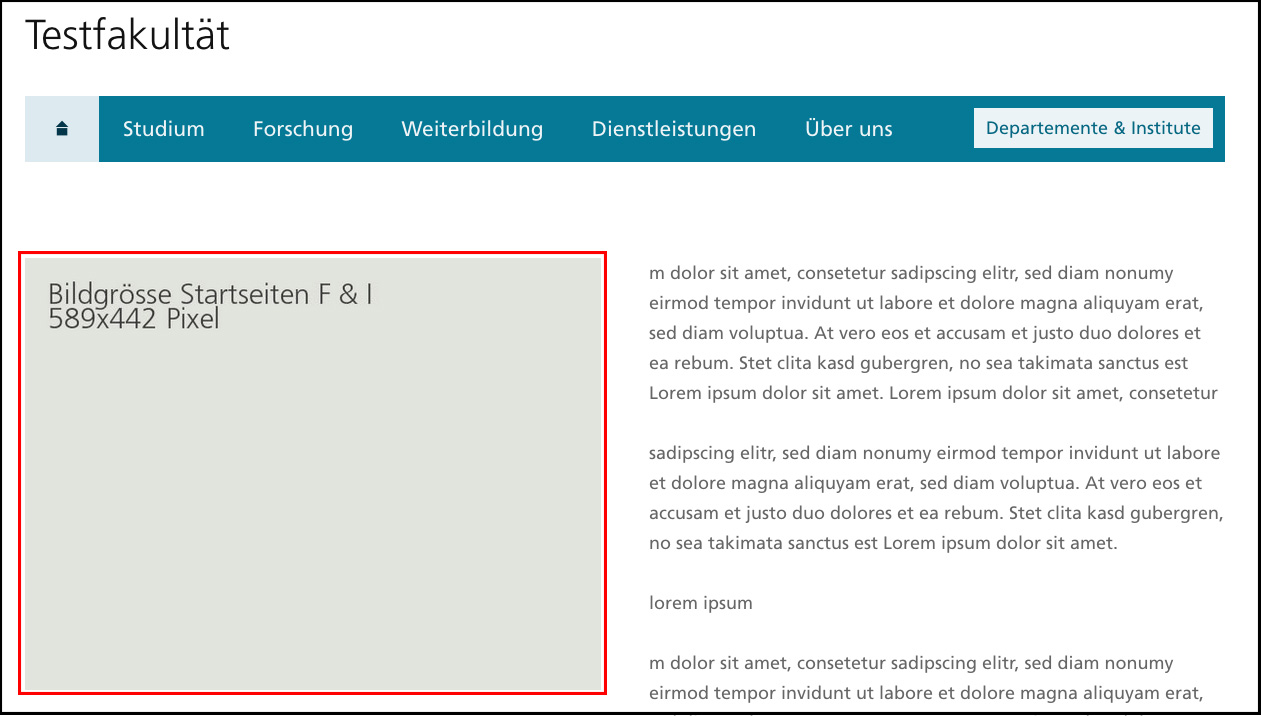 Die Erscheinung des Titelbildes im Portal