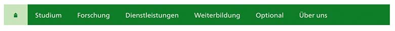 Hauptnavigation eines Instituts