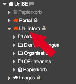 Ein roter Pfeil zeigt auf das Wort "Uni Intern"