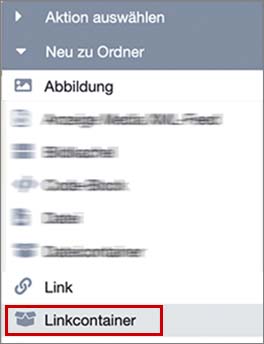 Wählen Sie aus dem Dropdown Menü den Linkcontainer