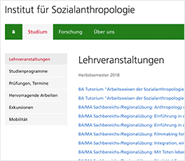 Umsetzungsbeispiel von der Institutsseite