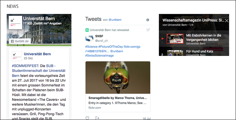 Social Media Streams in einem Newscontainer