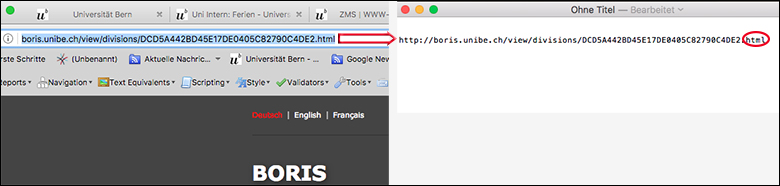Kopieren Sie die URL aus der Applikation Boris in einen Text Editor.