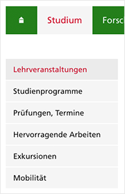 Struktur Studium